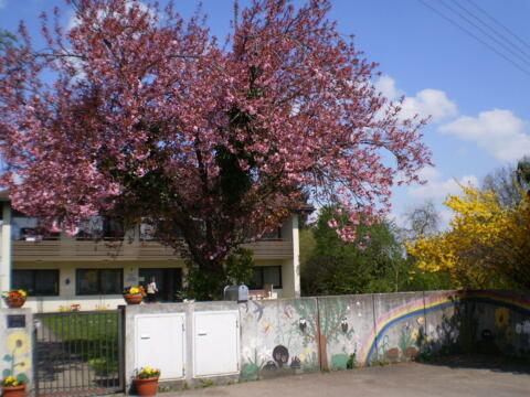 pfarrhof-2011-fruehling