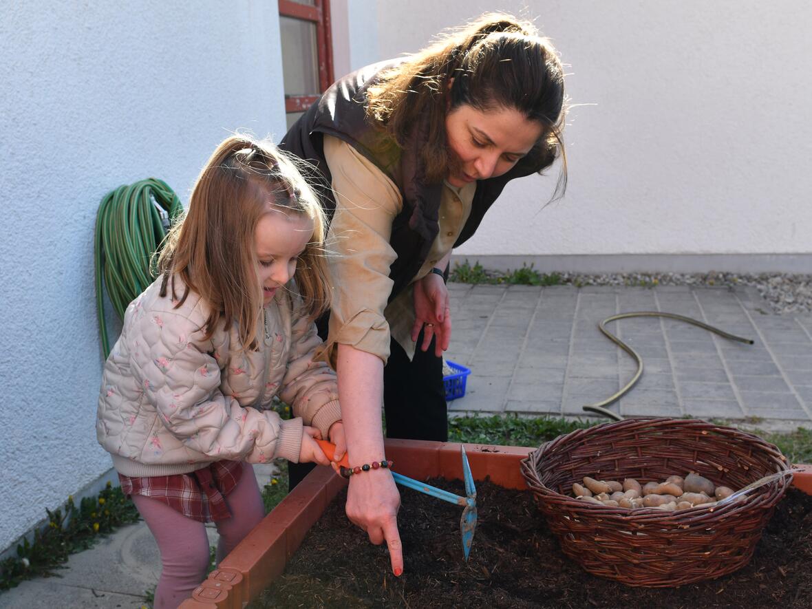 kartoffelaktion-kita-bobingen-4-foto-maria-roesch_pba4847268