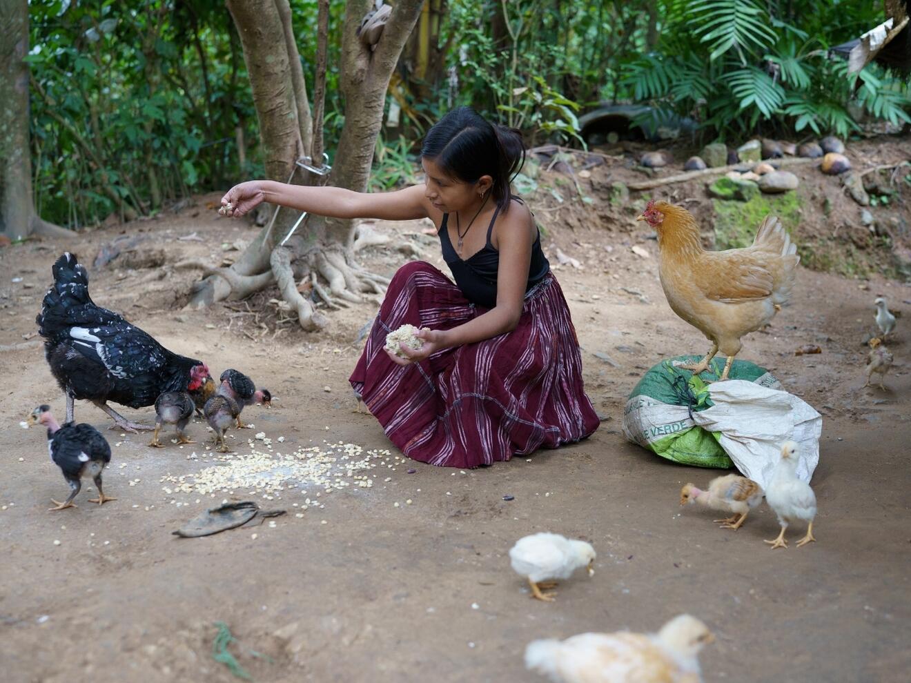 Die Sternsinger-Partner haben den Familien auch gezeigt, wie sie Fische und Hühner züchten können. Das sorgt für Vielfalt bei der eigenen Ernährung. Der Verkauf von Fisch, Fleisch und Eiern sichert den Menschen zudem ein kleines Einkommen.