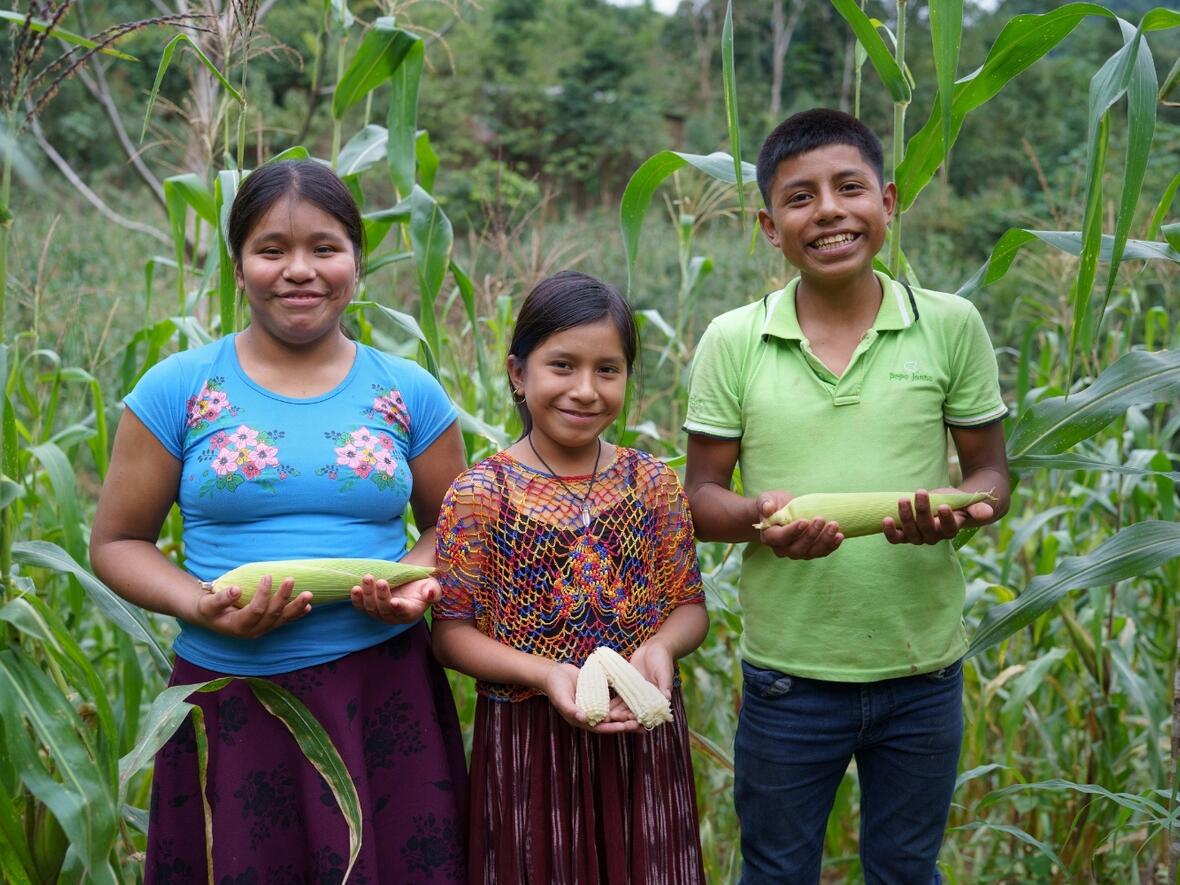 Alle Familien im Dorf haben ein kleines Feld, auf dem sie Mais anbauen. Das ist das Hauptnahrungsmittel der Menschen in Guatemala. Auch bei Norma und ihren Freunden Deysi und Elmer kommt täglich Mais auf den Teller. 