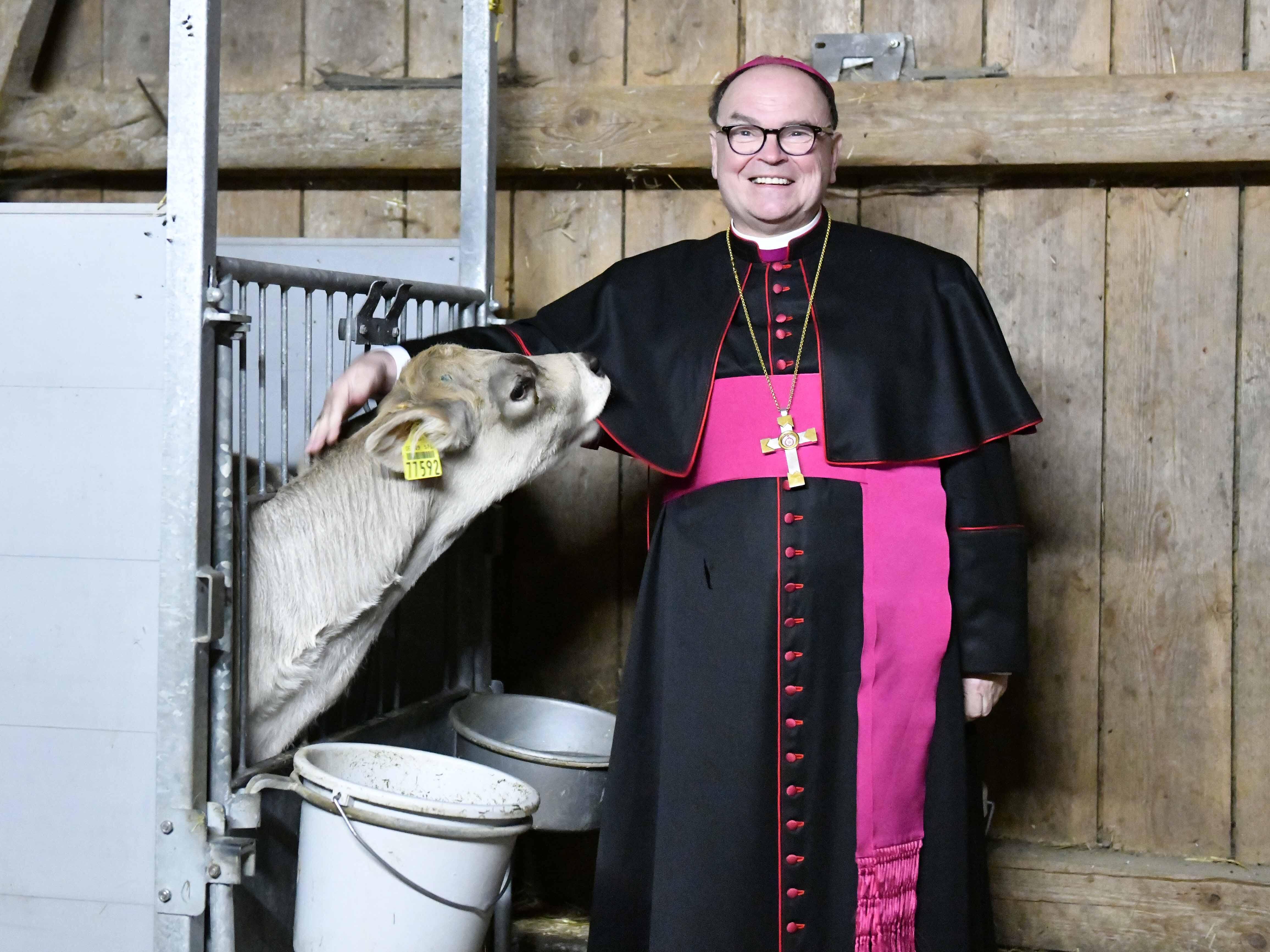 Freude auf beiden Seiten: Auch das kleine Kälbchen war sichtlich angetan vom bischöflichen Besuch (Fotos: Maria Steber / pba).