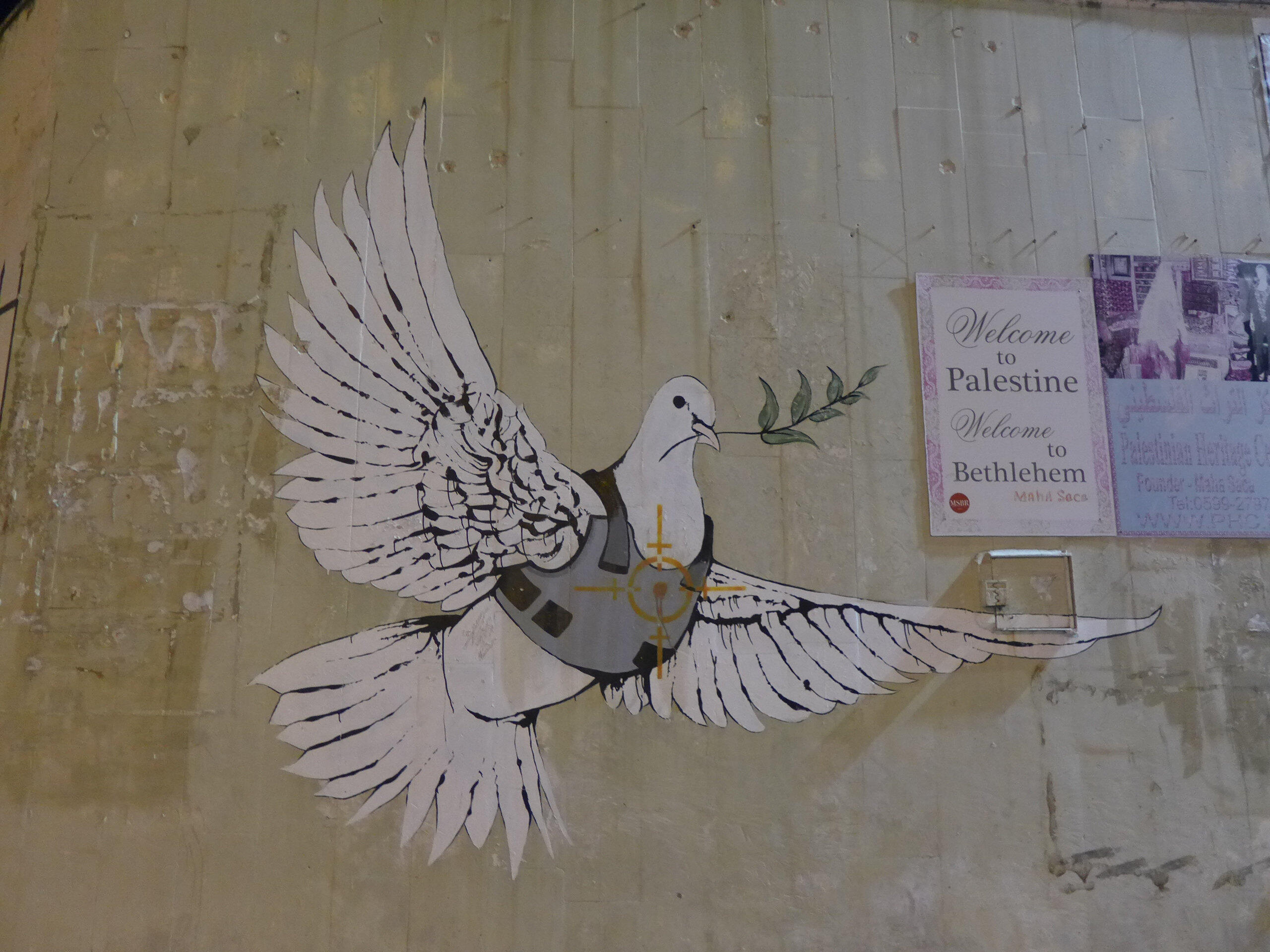 Friedenstaube in Bethlehem, Banksy Streetart (Motivbild: Michael Rösch, in pfarrbriefservice.de)