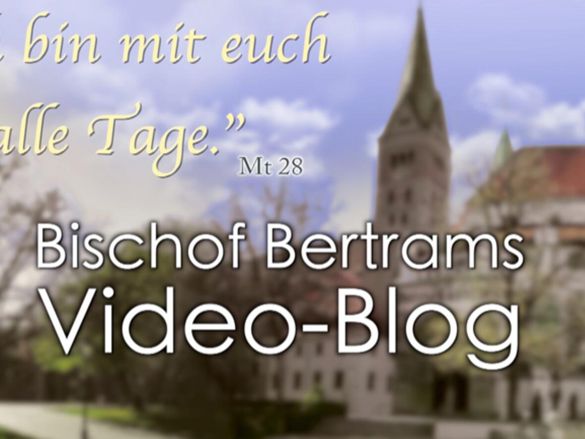 Boxbild Video-Blog
