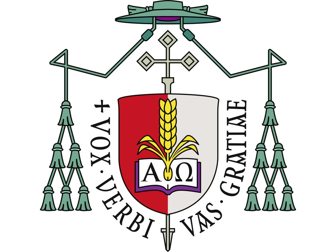 ein-lebendiges-geschichtsbuch-im-und-rund-um-den-dom3808627