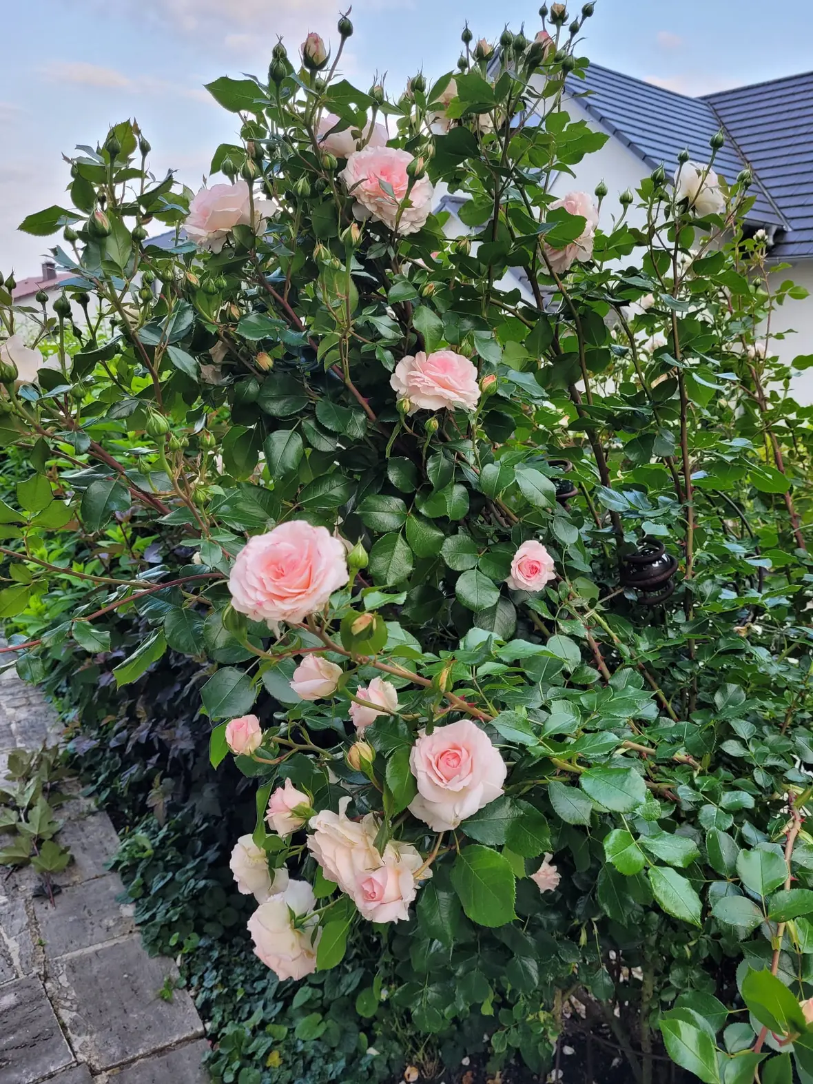 kw-8-wachsen-und-werden