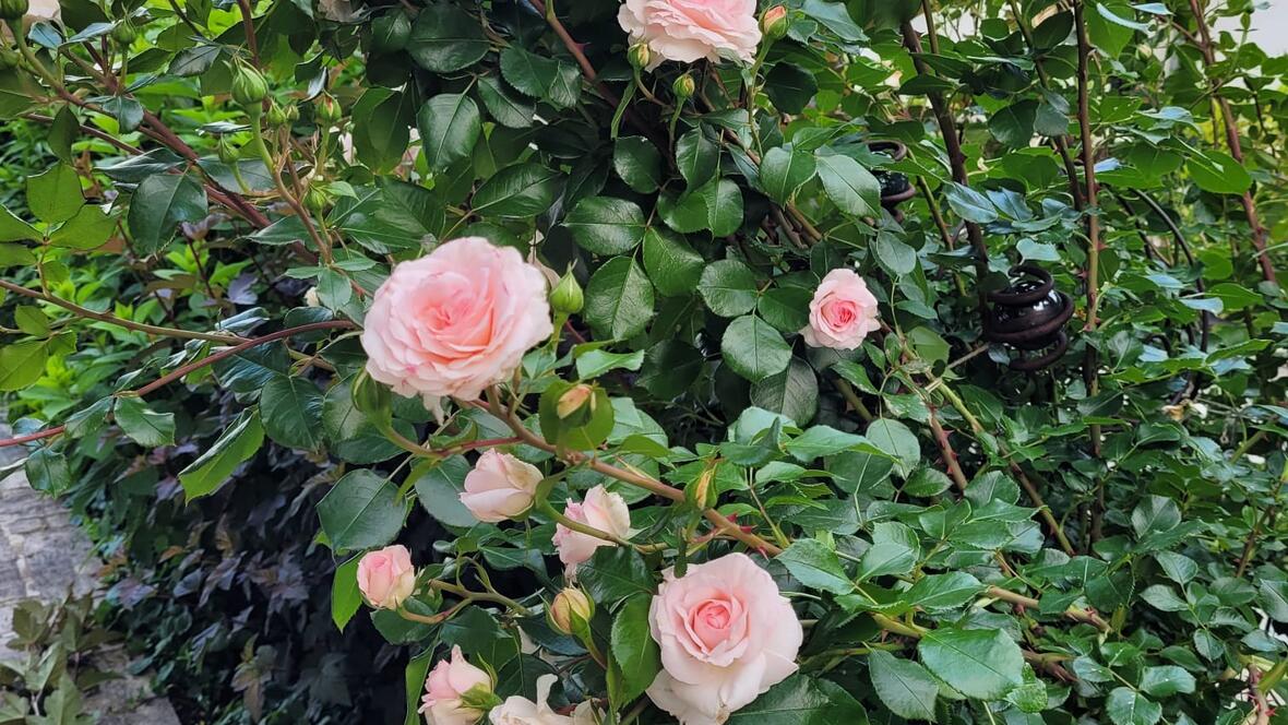 kw-8-wachsen-und-werden