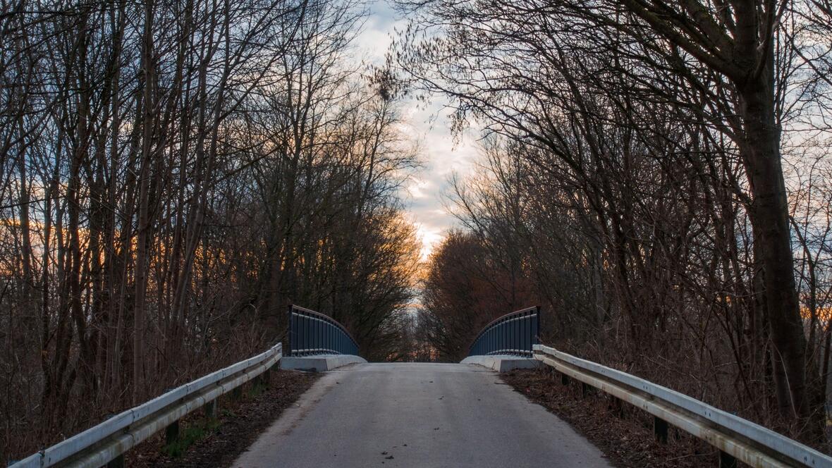 Dr. Bianca Hillenbrand