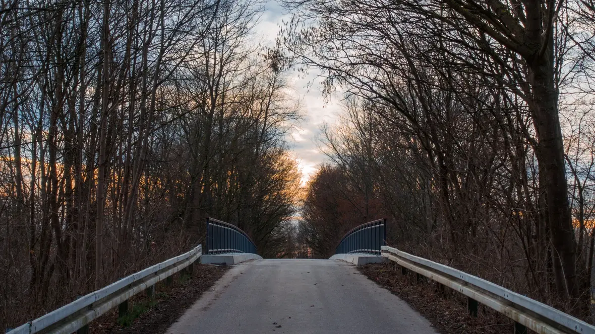 Dr. Bianca Hillenbrand