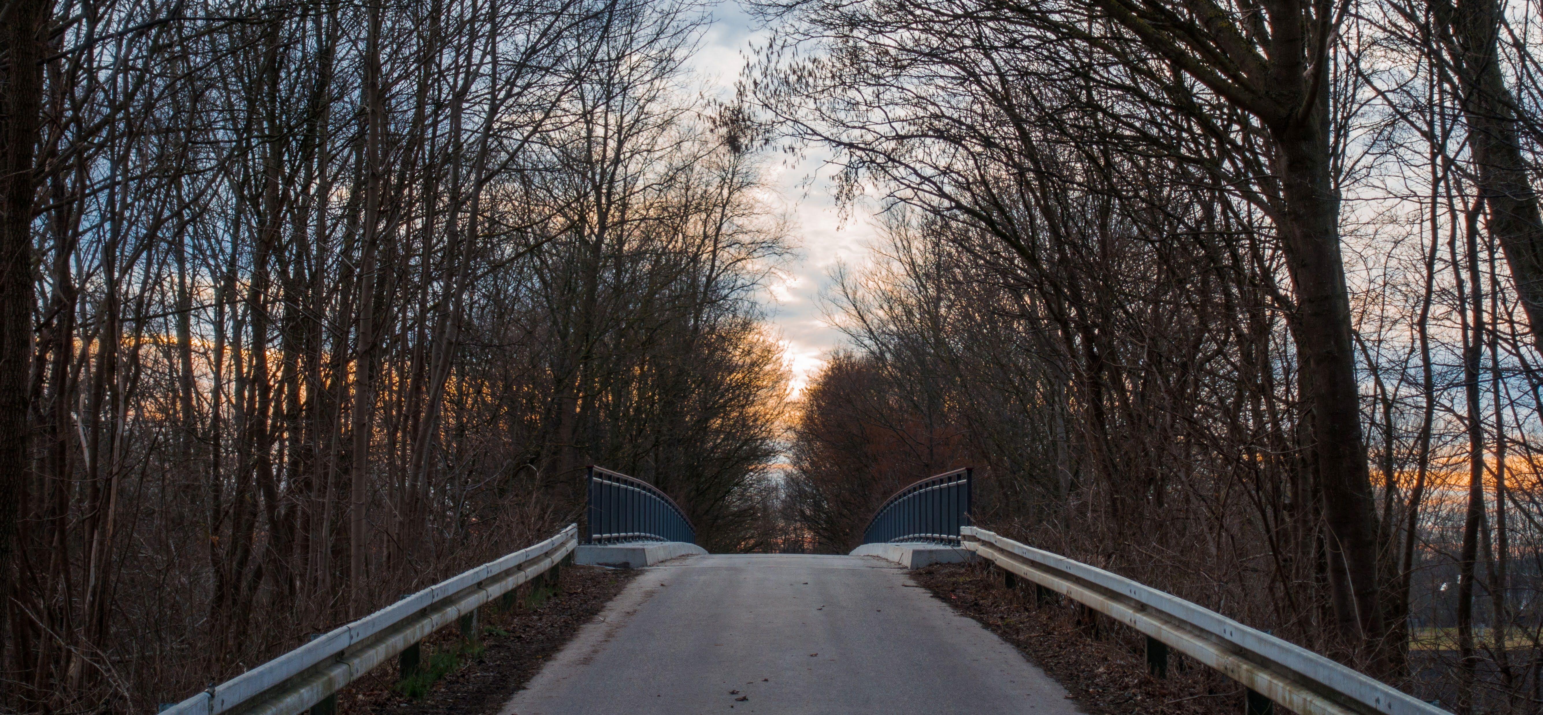 Dr. Bianca Hillenbrand