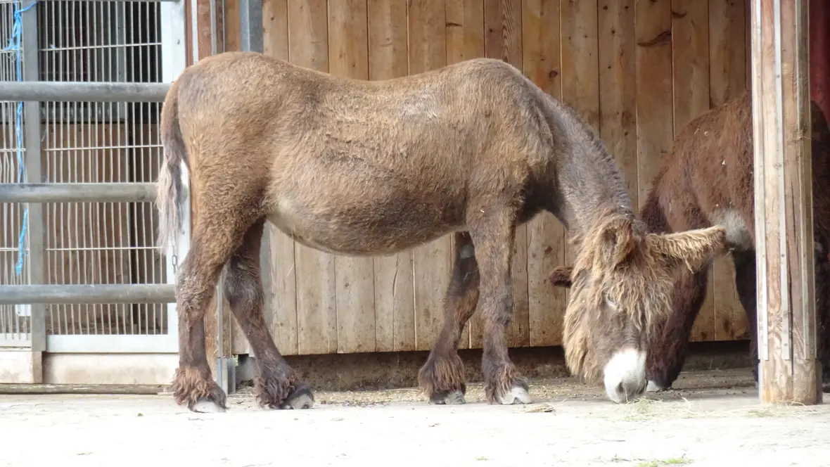 kw-14-der-herr-braucht-dich-b