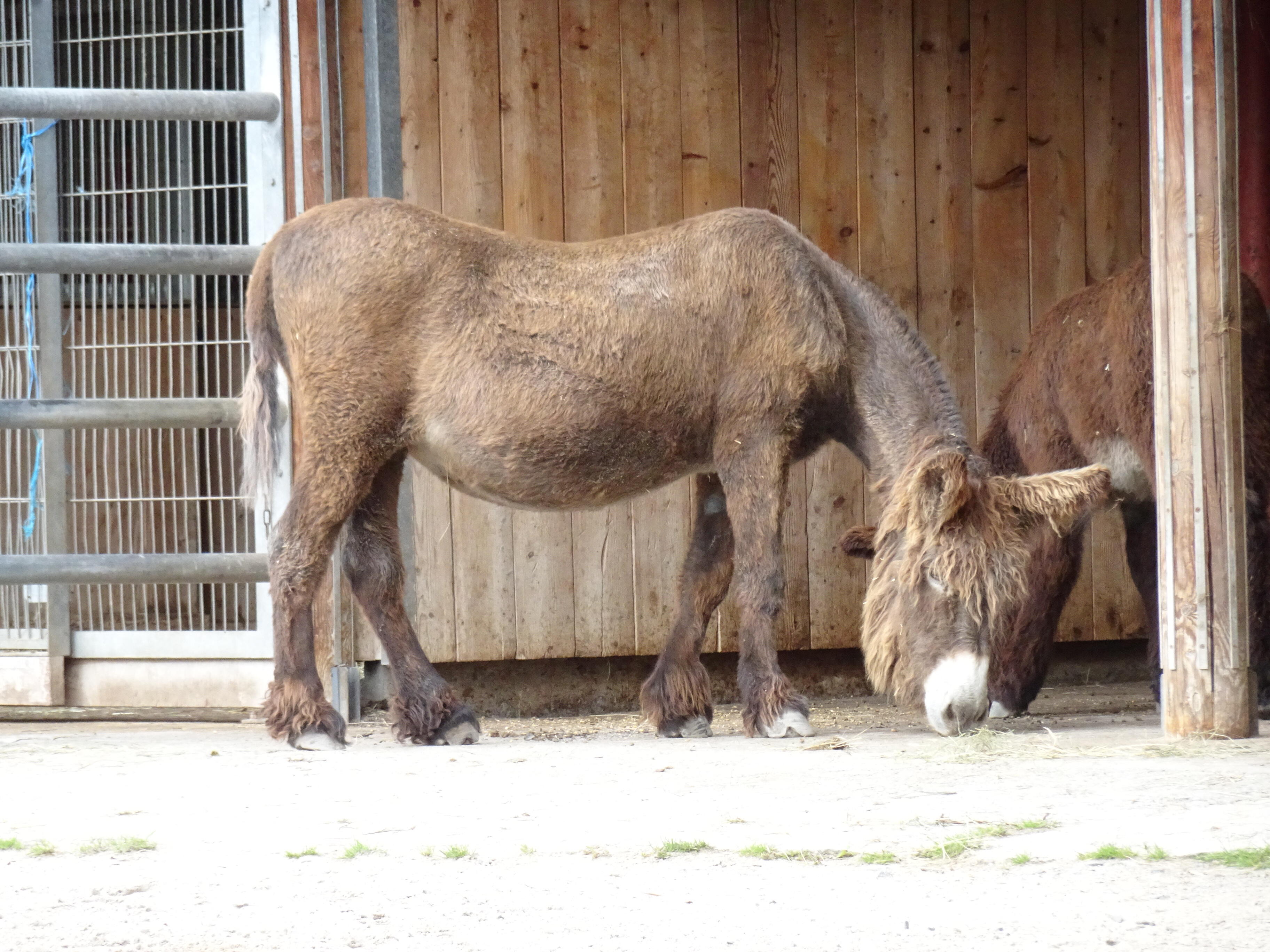 kw-14-der-herr-braucht-dich-b