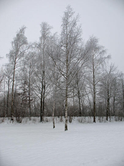 winterkleid-jpg167259