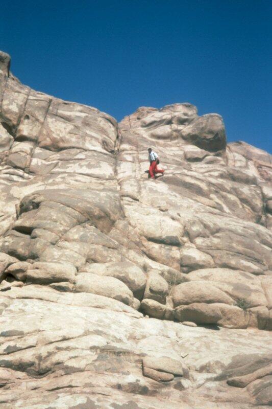 sinai-jpg170529