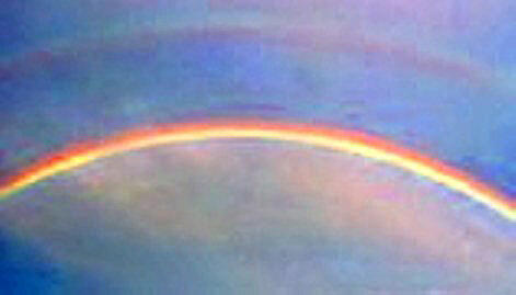 regenbogen460821