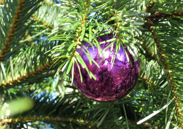 christbaumkugel-jpg633751