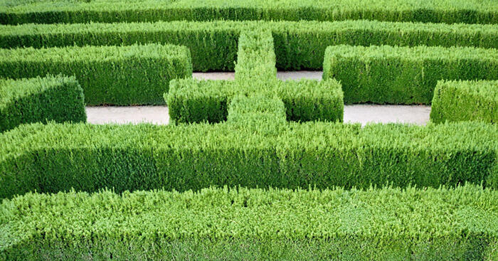 labyrinth-jpg689430