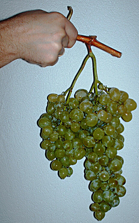 arbeiter-in-jpg718992