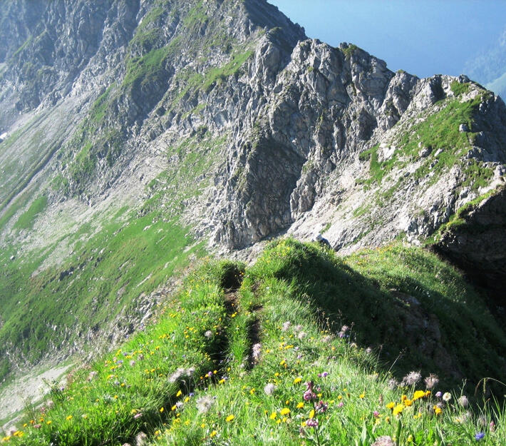 gradwanderung722342