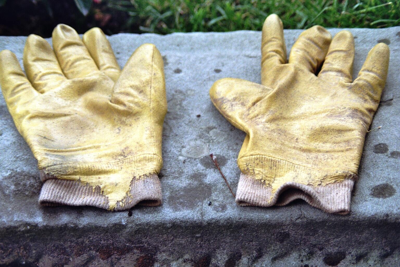 handschuhe-jpg768231
