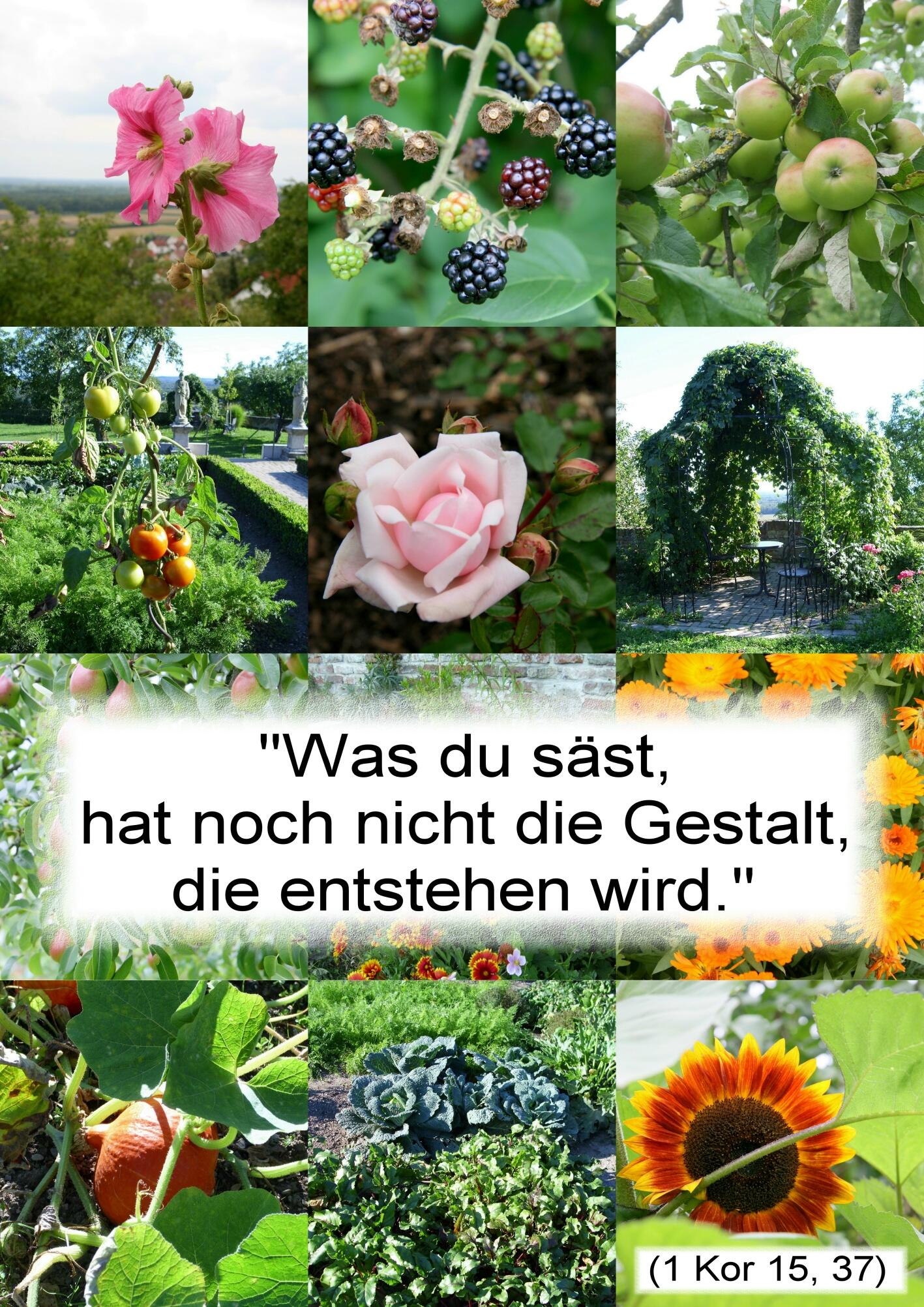 aussaat798660