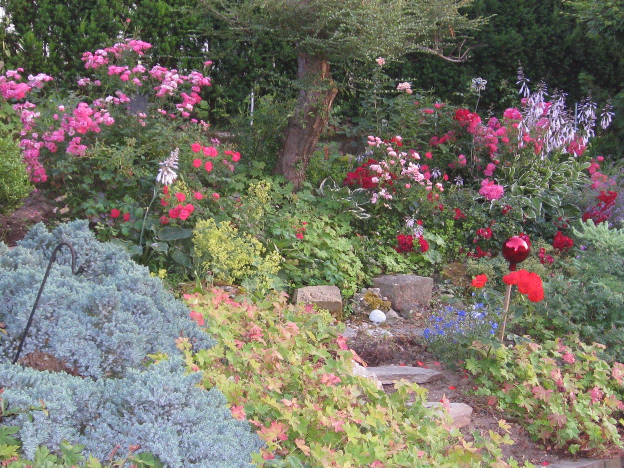garten1001390