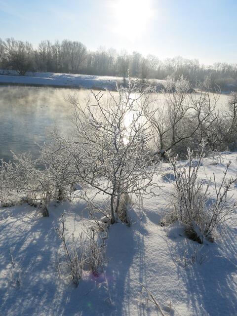 gi_kw_8_dein_angesicht1642517