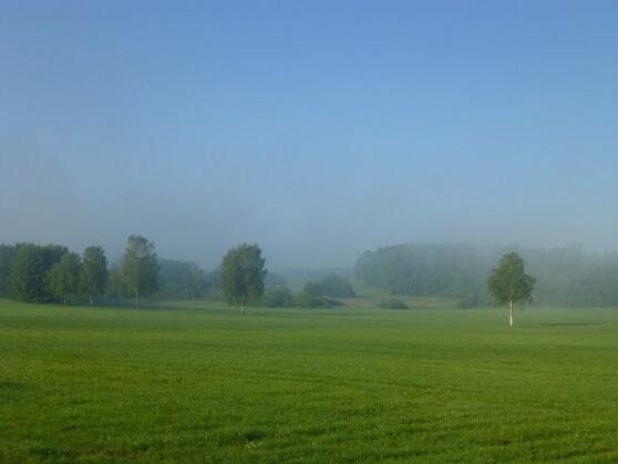 gi_kw-21-morgen-bild3765511