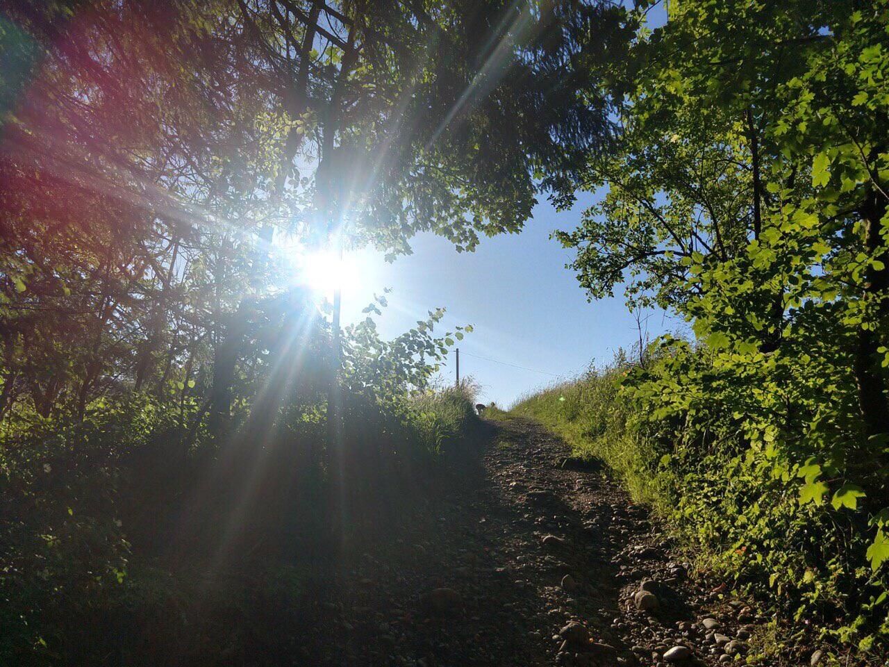 gi_kw-14-in-einem-anderen-licht-bild4040719
