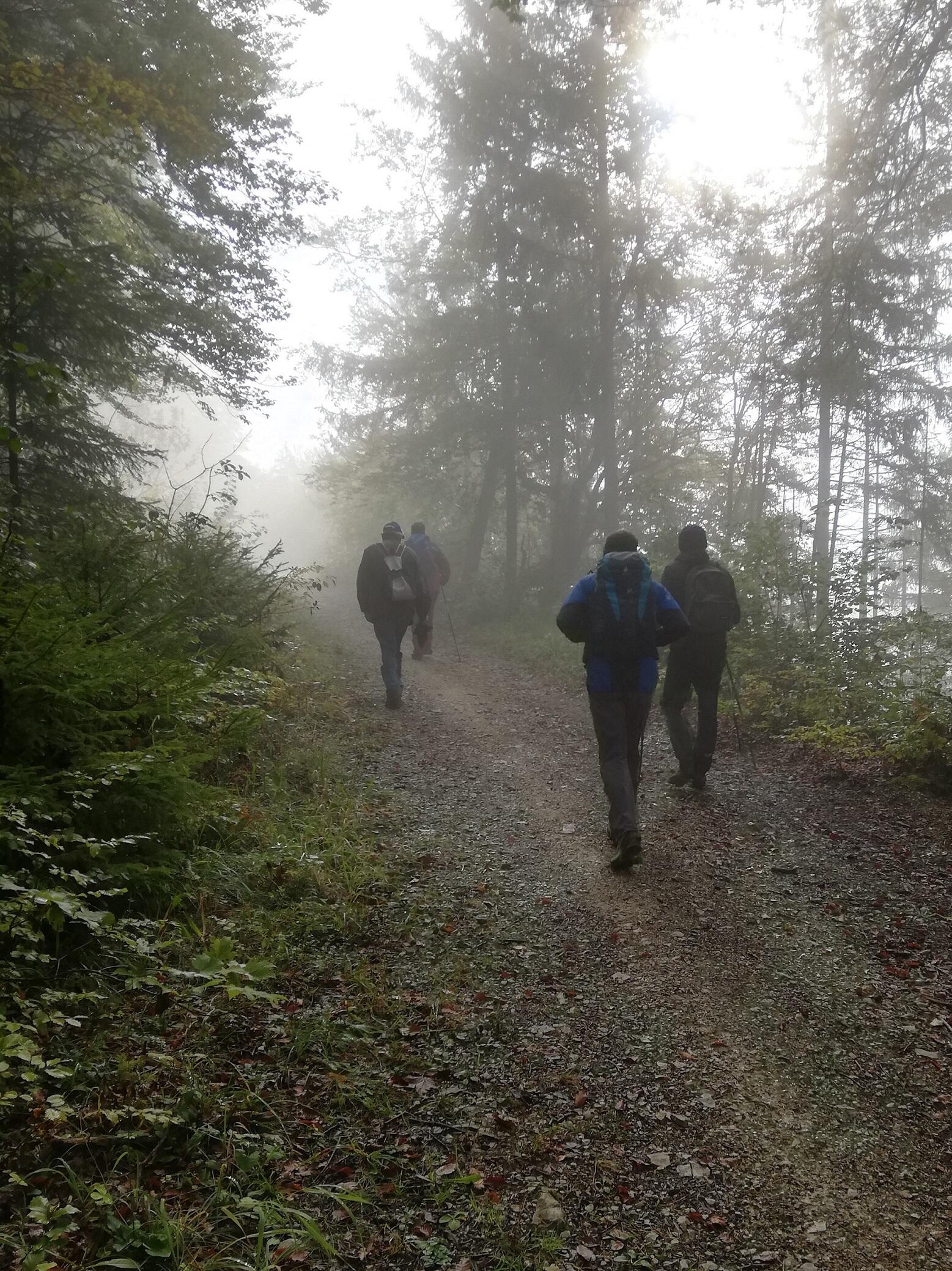 gi_kw-45-im-nebel-wandern4171752