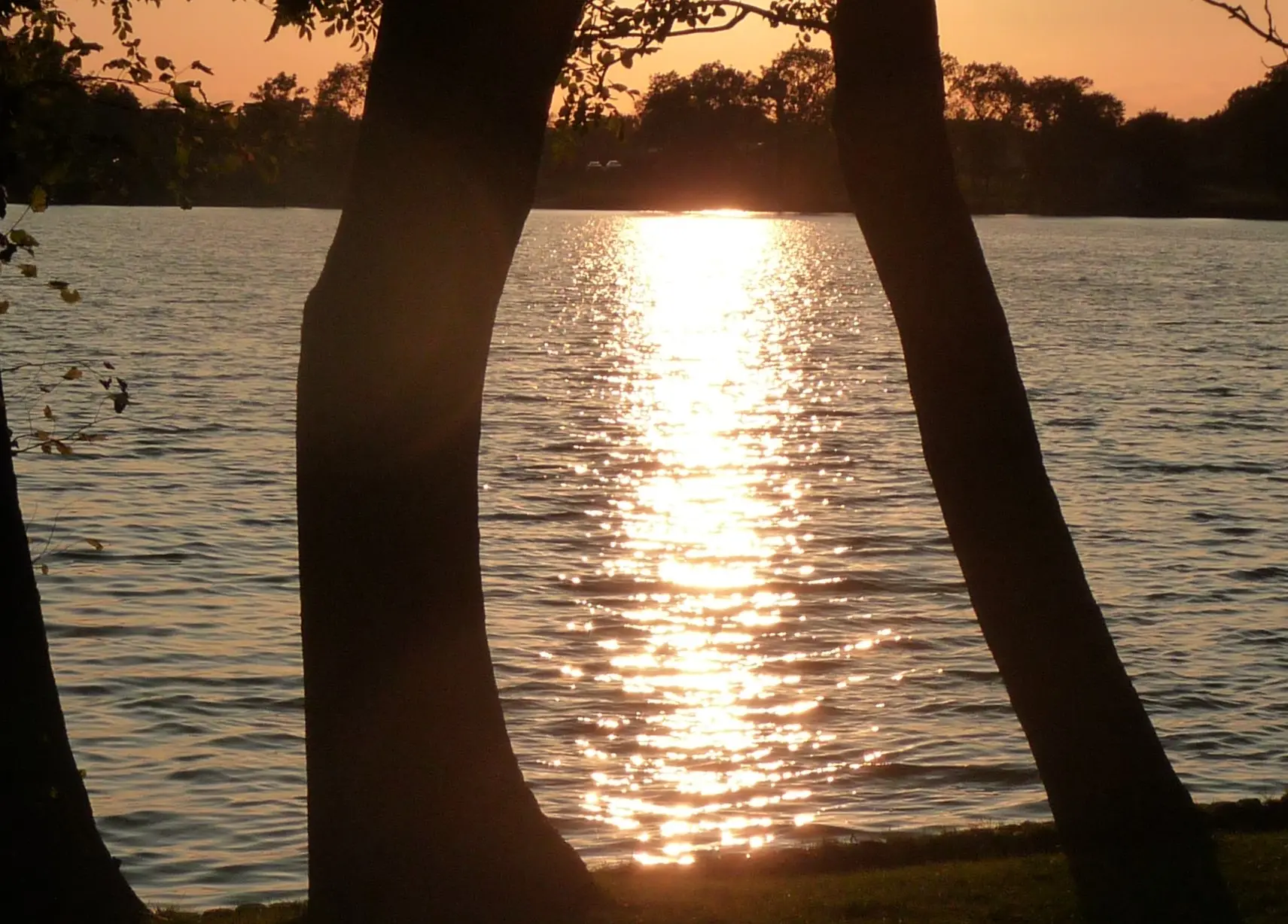 im-licht-stehend4411184