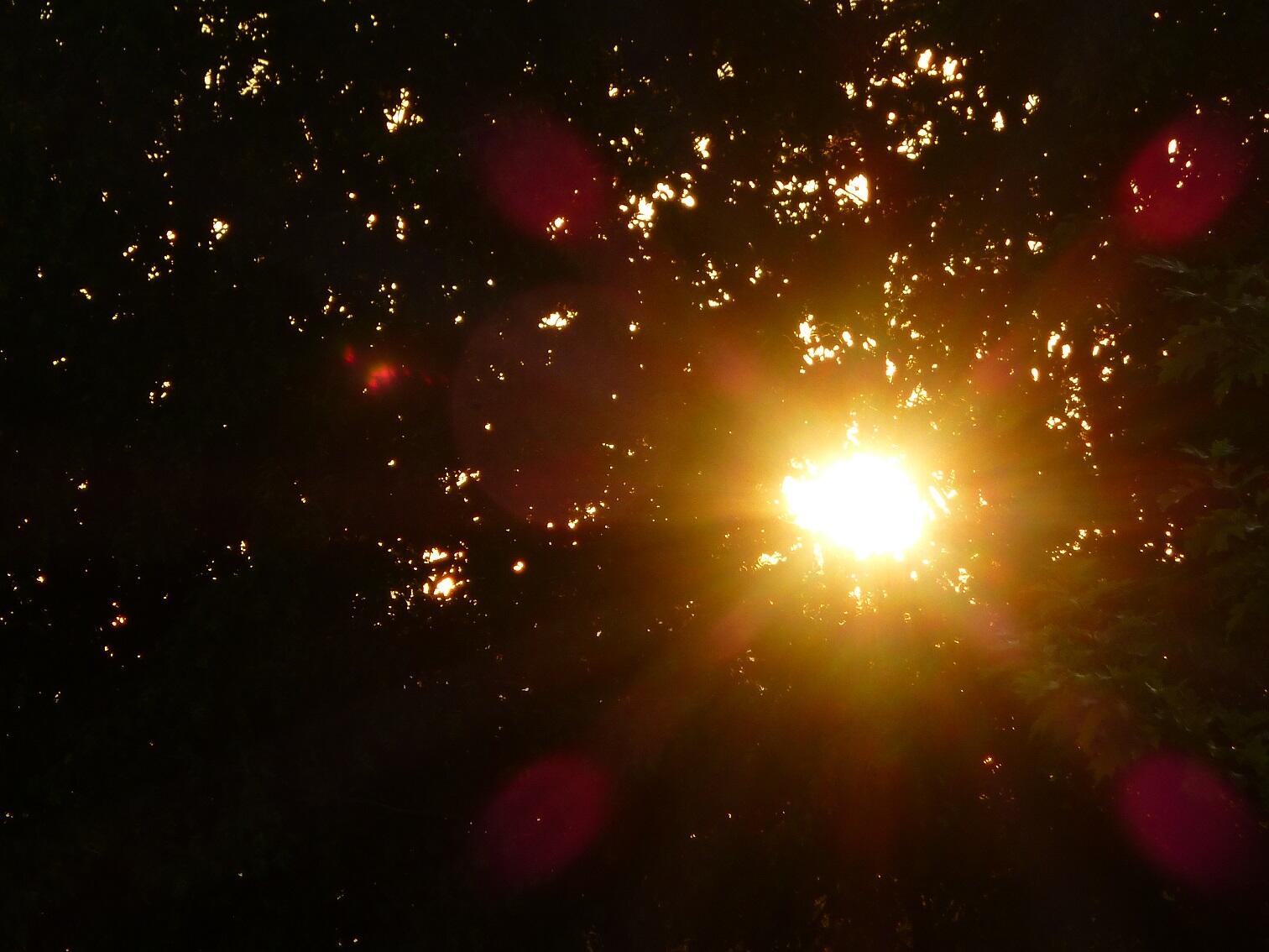 gi-kw31-in-sein-licht-bild4532902