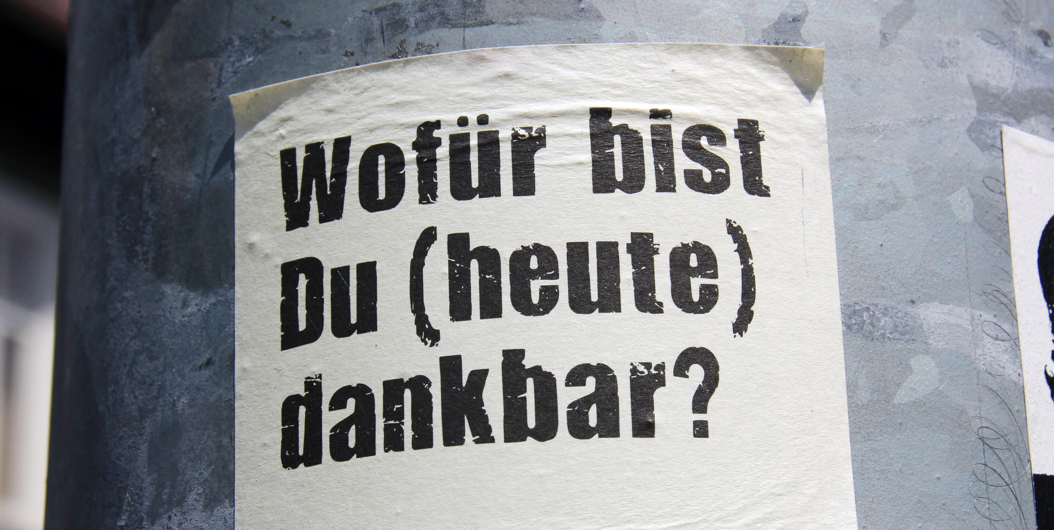 Bild: Peter Weidemann