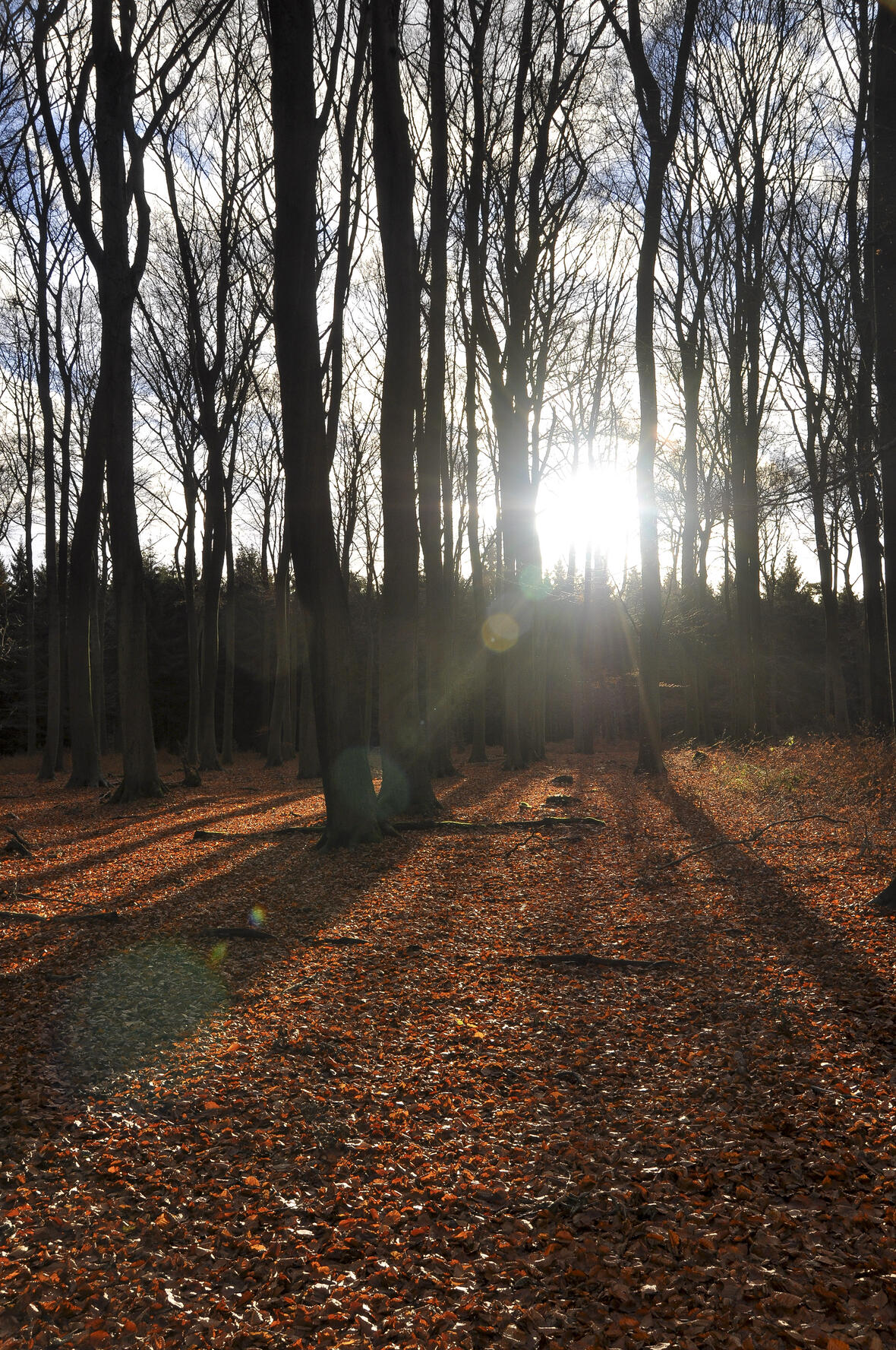 kw-45-allerheiligen-b