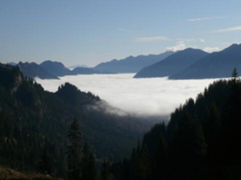 winterbild-ab-november