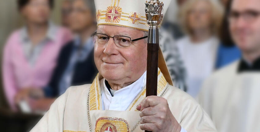 Boxbild Multimediareportage