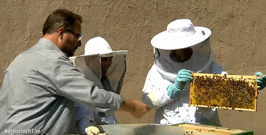 Boxbild_Bienen Peter Paul