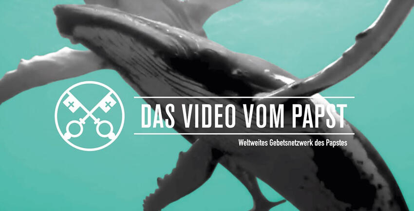 Das Video vom Papst September 2019