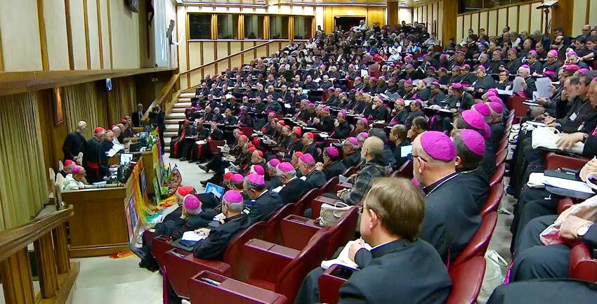 Amazonas-Synode: Das Wichtigste in Kürze