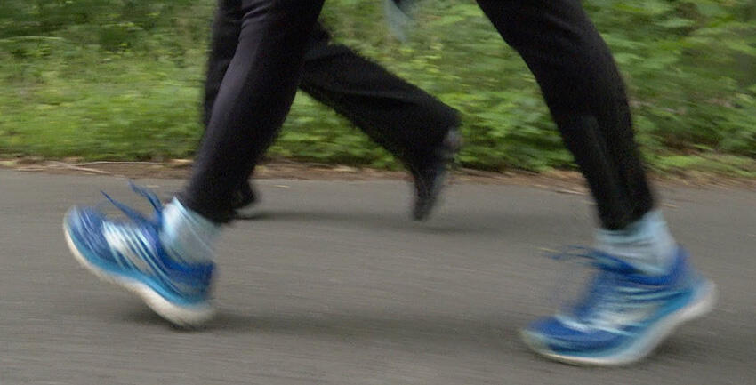 Jakobuslauf 2020