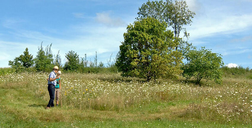 Pfarrwiese Alsmoos eine kleine Arche Noah