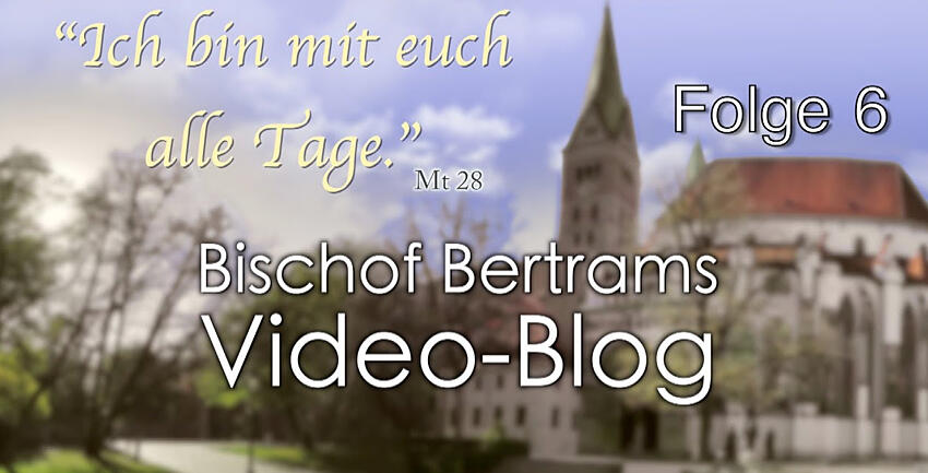 boxbild_blog-bischof4008434