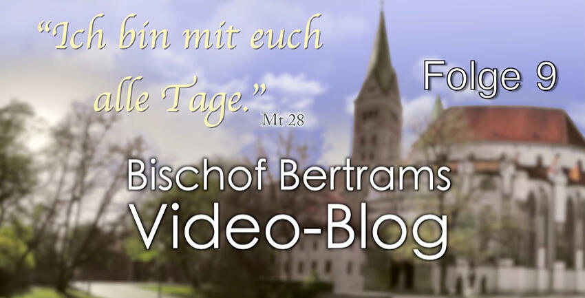 Boxbild_Vlog Folge 9
