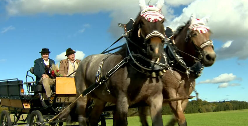katholisch1.tv_Leonhardiritt in Gabelbachergreuth
