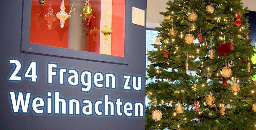 Video 24 Fragen