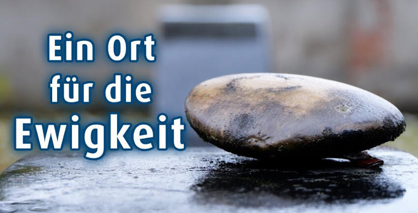 Video Friedhof