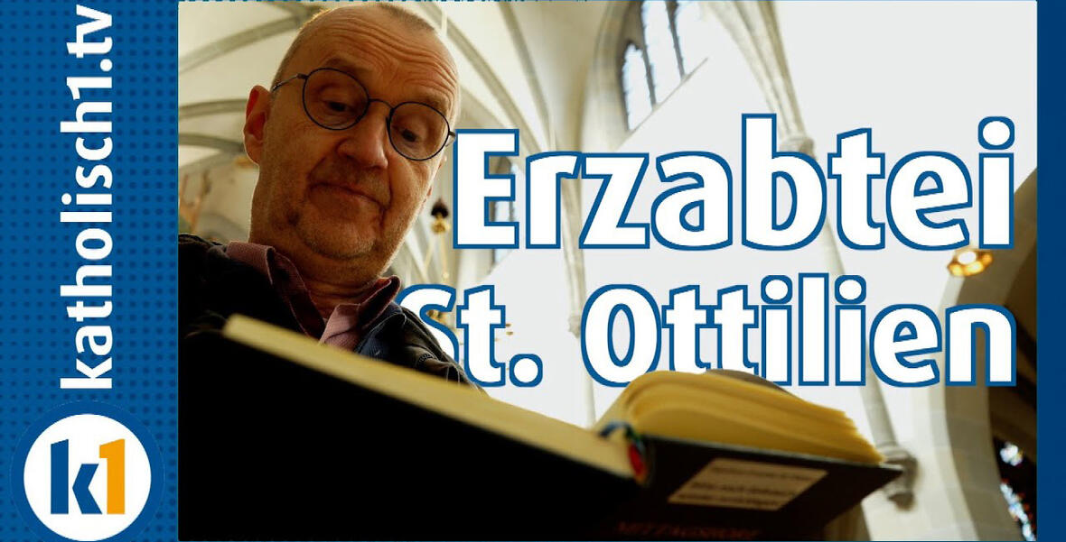 Video Braun sucht