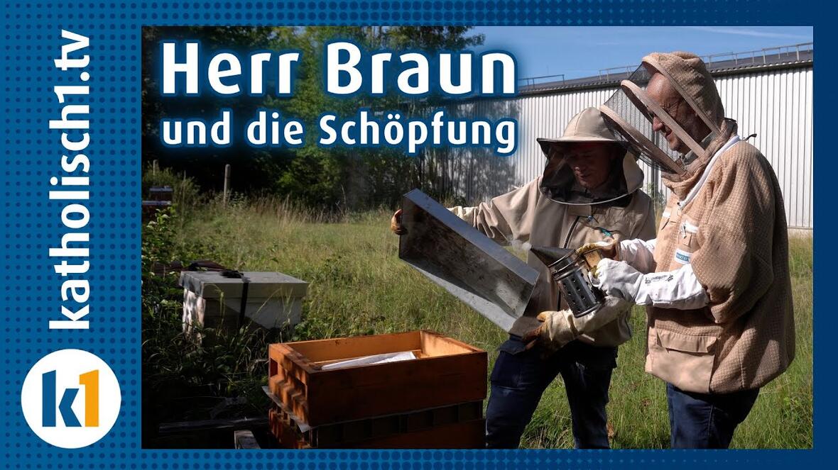 Video Braun