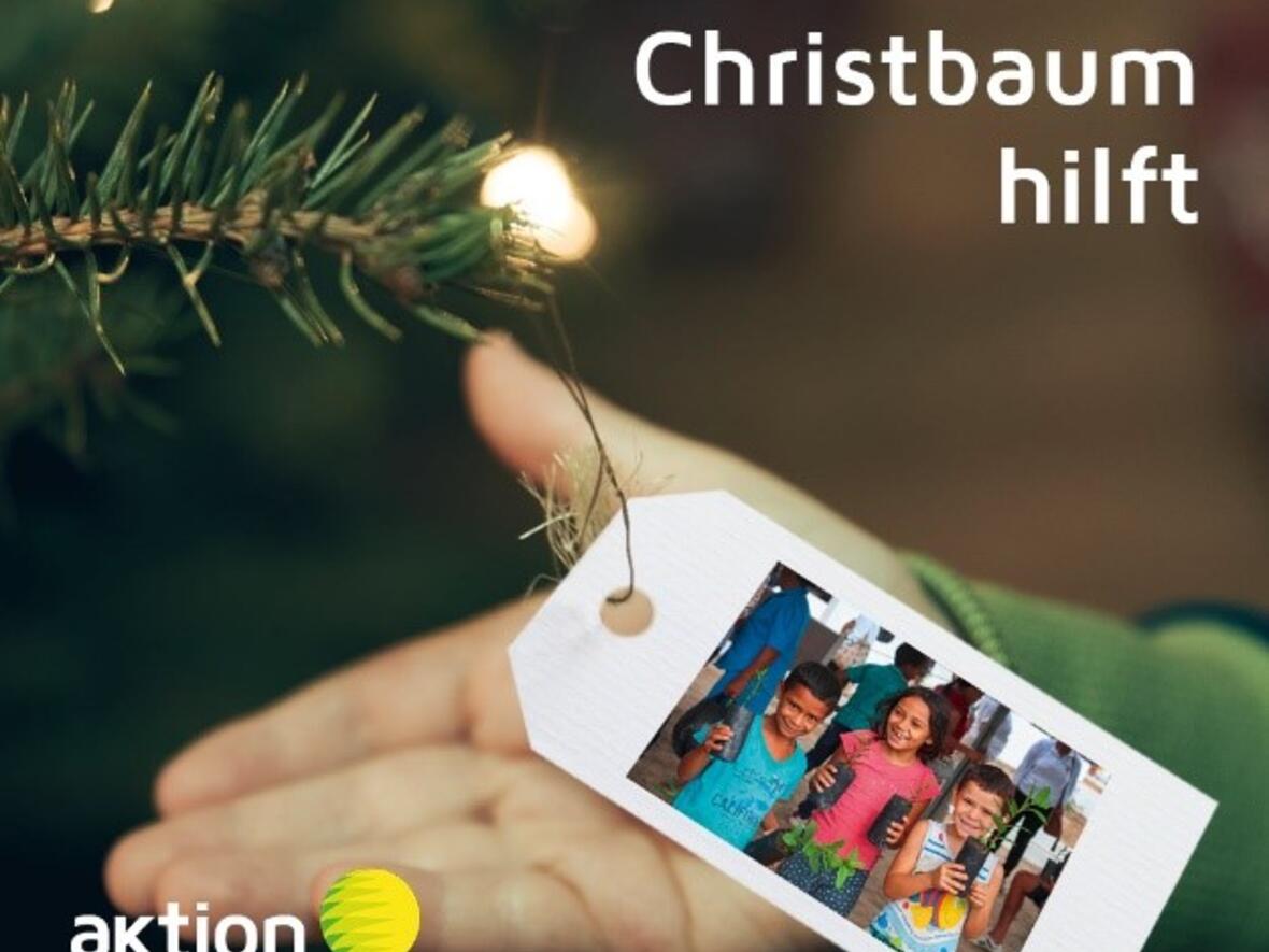 schoepfung-bewahren-christbaum-weihnachtsaktion3942025