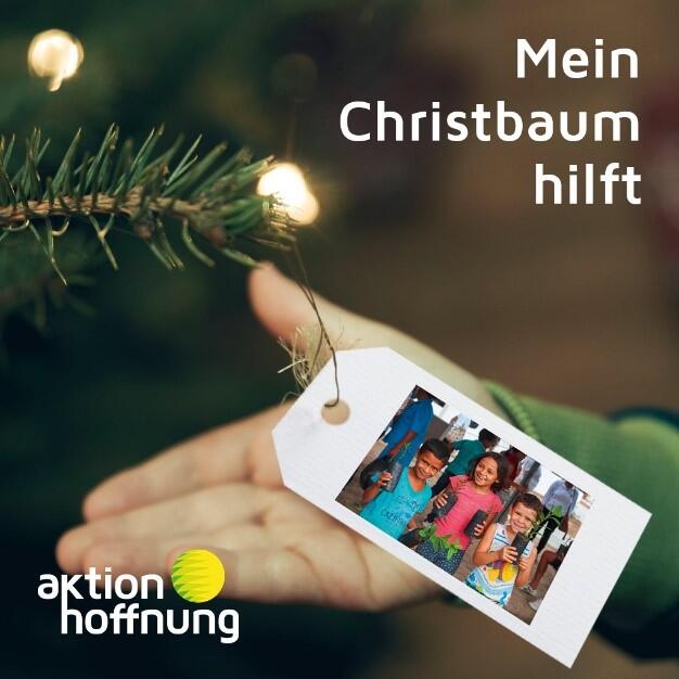 schoepfung-bewahren-christbaum-weihnachtsaktion3942025