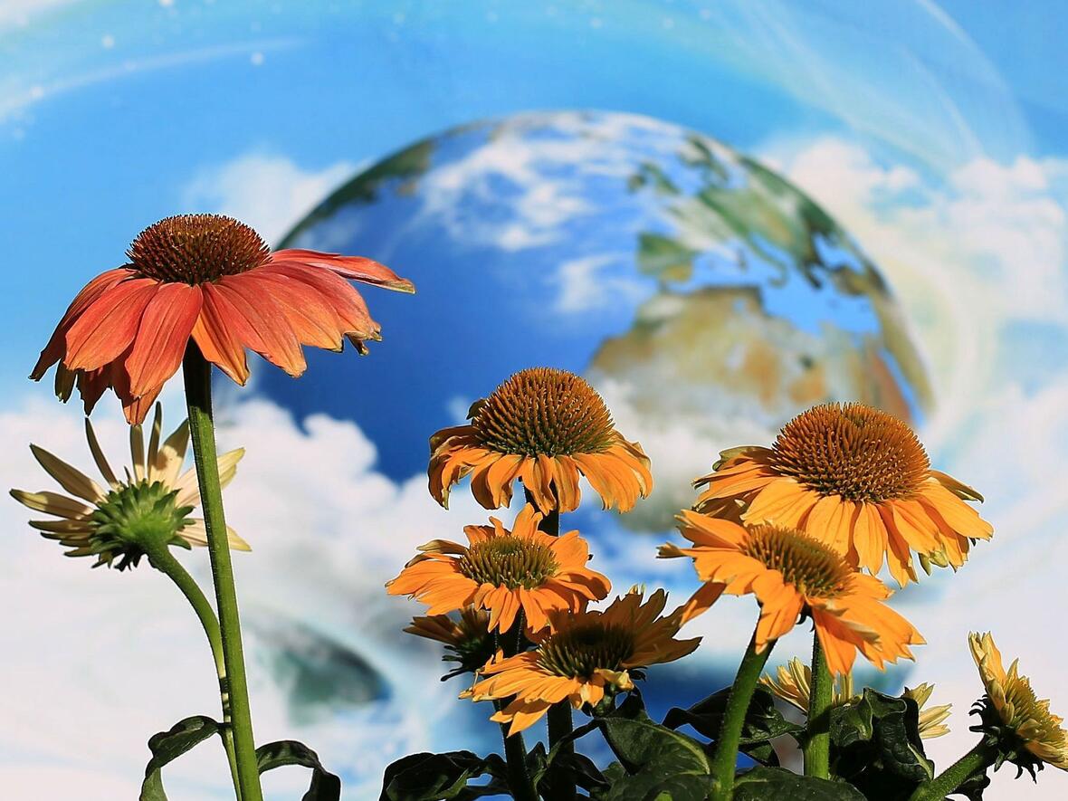 Foto: Doris Schug, in pfarrbriefservice.de